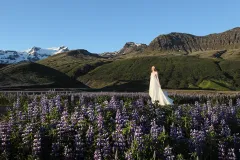 Tipy pro začátečníky ve fotografování přináší Canon - foto 1 | brand photo