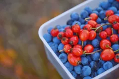 Skolila Vás jarní únava? Doplňte si zásoby vitamínu C - foto 3 | brand photo