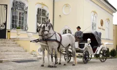 Skvělá dovolená v pětihvězdičkovém Amade Chateau - foto 6 | brand photo
