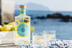 PRODLUŽTE SI LÉTO S ITALSKÝMI PRÉMIOVÝMI GINY MALFY - foto 1 | brand photo