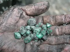 O zeleném mysteriu s Jurajem Liškou - foto 4 | brand photo