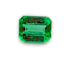 O zeleném mysteriu s Jurajem Liškou - foto 10 | brand photo