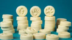 Lush představuje zbrusu nové Charity Pot Coins - foto 3 | brand photo