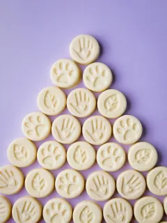 Lush představuje zbrusu nové Charity Pot Coins - foto 4 | brand photo