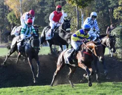 Velkou pardubickou ovládl Matuský s Hegnusem - foto 1 | brand photo