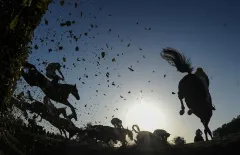 Velkou pardubickou ovládl Matuský s Hegnusem - foto 2 | brand photo