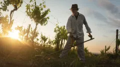 Jak chutná Víno Loigi? To nám poví majitel Vladimír Lojda - foto 2 | brand photo