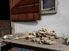 Jak chutná Víno Loigi? To nám poví majitel Vladimír Lojda - foto 6 | brand photo