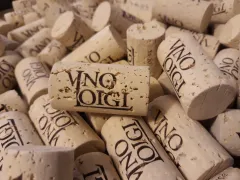 Jak chutná Víno Loigi? To nám poví majitel Vladimír Lojda - foto 7 | brand photo