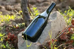 Jaký má pohled na víno vedoucí Ústavu vinohradnictví a vinařství Mojmír Baroň? - foto 4 | brand photo