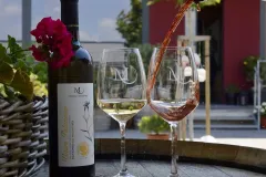 O chuti vína s panem Milošem Michlovským - foto 3 | brand photo