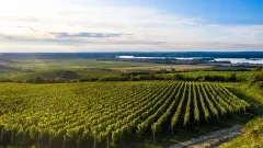 O chuti vína s panem Milošem Michlovským - foto 4 | brand photo