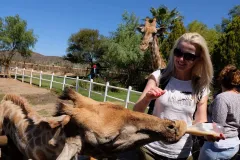 O divokých zvířatech a cestování s paní Kamilou Paličkovou - foto 3 | brand photo