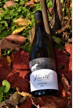 O kouzlu vinařství Kacetl se zakladatelem Michalem Kacetlem - foto 4 | brand photo