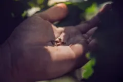 O kouzlu vinařství Kacetl se zakladatelem Michalem Kacetlem - foto 5 | brand photo