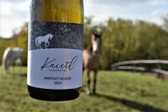 O kouzlu vinařství Kacetl se zakladatelem Michalem Kacetlem - foto 3 | brand photo