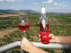 O kvalitním víně s majitelem vinařství Vajbar panem Bronislavem Vajbarem - foto 4 | brand photo