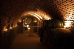 O vínech a vinařských akcích s panem Lubomírem Zborovským - foto 3 | brand photo