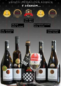 Výtečná vína v roce 2020 ve vinařství VÍNO LÍPA MIKULOV - foto 5 | brand photo