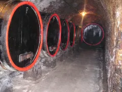 Jak chutná víno ve vinařství David Osička s jeho zakladatelem - foto 4 | brand photo