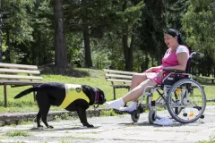 Pomocné tlapky slaví 20 let činnosti a 244 předaných psů - foto 1 | brand photo