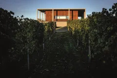 František Fabičovic říká, jak chutnají vína z Vinařství Obelisk - foto 5 | brand photo