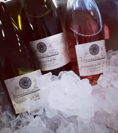 Jak vzniká víno ve Vinařství Fila s jeho majitelem - foto 5 | brand photo