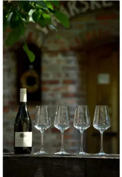 Jak vzniká víno ve Vinařství Fila s jeho majitelem - foto 6 | brand photo