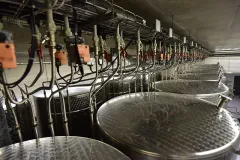 O lásce a chuti vín se Zdeňkem Peřinou - foto 3 | brand photo