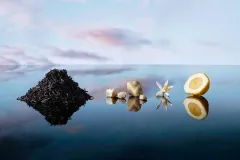 Les Parfums Louis Vuitton píšou novou kapitolu své parfumérské ságy - foto 4 | brand photo