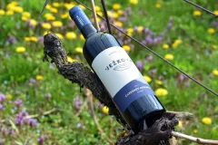 O nezapomenutelné chuti vín s Miroslavou Ježkovou - foto 3 | brand photo