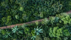 Nespresso se připojuje k výsadbě 10 milionů stromů V ČESKÉ REPUBLICE - foto 1 | brand photo