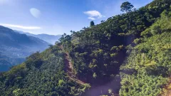 Nespresso se připojuje k výsadbě 10 milionů stromů V ČESKÉ REPUBLICE - foto 3 | brand photo