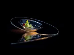 Premium Home: Skleněné nádobí Boro odolá i těm nejvyšším teplotám - foto 7 | brand photo