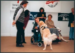 Příběh prvního asistečního psa s Pomocnými tlapkami - foto 1 | brand photo