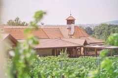 Salabka: Prvotřídní gastronomie v butikové vinici - foto 2 | brand photo