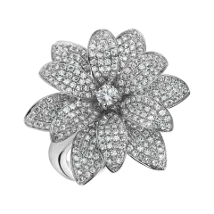 Hvězdná párty v restauraci Sasazu - foto 7 | brand photo