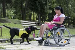 Pomocné tlapky uspořádaly společně s Čechomorem benefiční koncert | brand photo