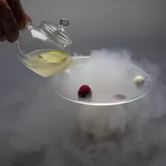 Premium Home představuje značku gastronomické inovace – 100% Chef - foto 5 | brand photo