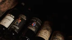 O kouzlu zralých vín s Janem Pánkem - foto 4 | brand photo