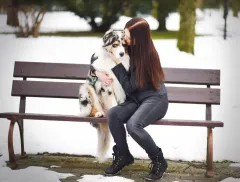 Co nás čeká při výchově psů s Klárou Groulíkovou - foto 6 | brand photo