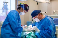 Estetické operace moderními a bezbolestnými způsoby v klinice Esthé - foto 2 | brand photo