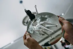 7. ROČNÍK PROJEKTU HELPING DOLLS - foto 6 | brand photo