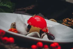 Jak udělal Lubomír Dolejš ze zvěřiny tu největší pochoutku v restauraci Deer - foto 2 | brand photo