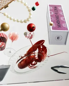 Oslavte Vánoce a konec roku s Moët & Chandon s dárkovou edicí The Spark of Light - foto 2 | brand photo