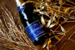 Jak si připravit dokonalý přípitek s našimi nejbližšími a Bohemia Sektem - foto 1 | brand photo