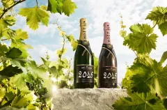Moët & Chandon představuje exkluzivní ročníkové šampaňské víno - foto 2 | brand photo