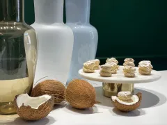 Nová sezónní edice ve Věnečky Janeček si vás získá s chutí kokosu - foto 4 | brand photo