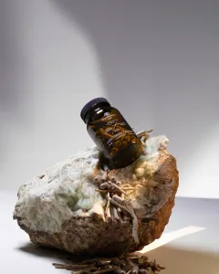 ORGANIC OASIS LAB PŘEDSTAVUJE SVÉ VÝŽIVOVÉ DOPLŇKY I V ČECHÁCH - foto 2 | brand photo