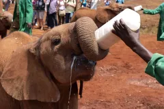 Ponořte se do příběhů z Afriky s úspěšnou spisovatelkou Hanou Hindrákovou - foto 6 | brand photo